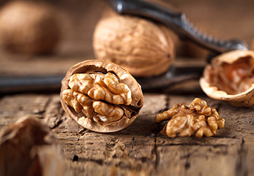 theinstitute-pic-one